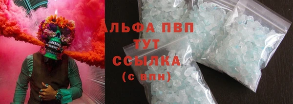 индика Краснотурьинск