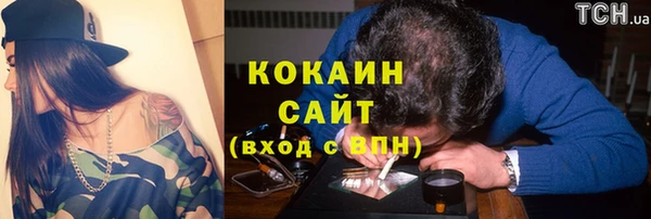 ГАЛЛЮЦИНОГЕННЫЕ ГРИБЫ Алзамай