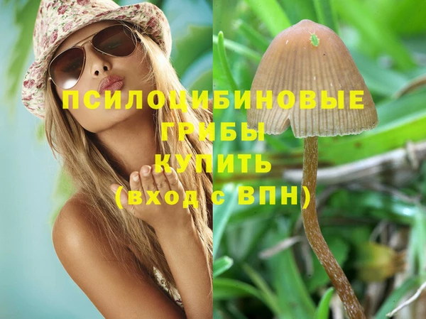 ГАЛЛЮЦИНОГЕННЫЕ ГРИБЫ Алзамай