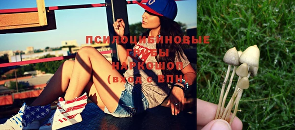 ГАЛЛЮЦИНОГЕННЫЕ ГРИБЫ Алзамай