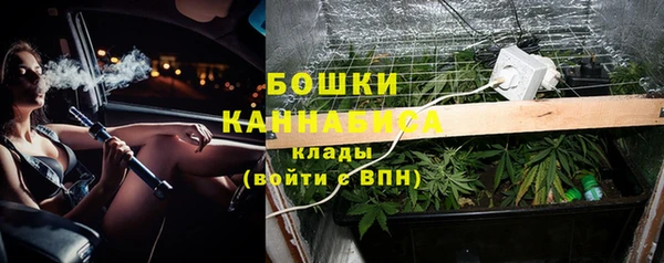 ГАЛЛЮЦИНОГЕННЫЕ ГРИБЫ Алзамай